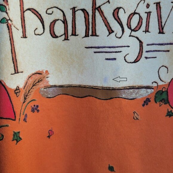 Kathy Davis Designs - Bright & Cheerful Happy Thanksgiving Tee Shirt (Size: XL) - Picture 10 of 11